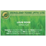 business-card-bergland-01