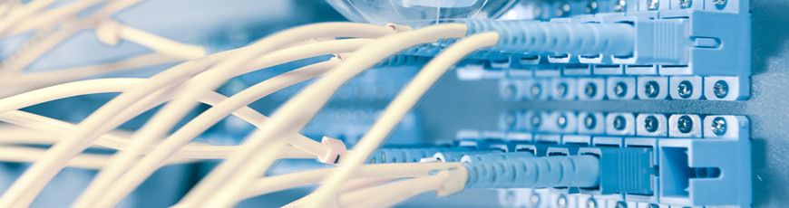 Website hosting